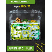Формикарий ВЕРТИКАЛЬНЫЙ Акрило-Гипсовый
